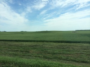 The Land That I Love