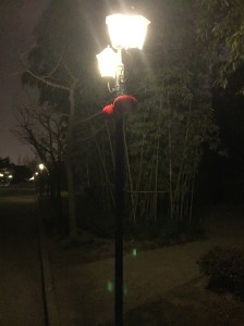 Red lantern decorations hang from street lamps.